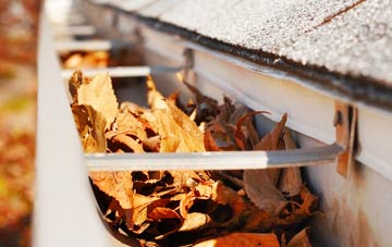 Brawith gutter cleaning companies