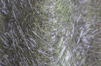 Brawith fibreglass roof work